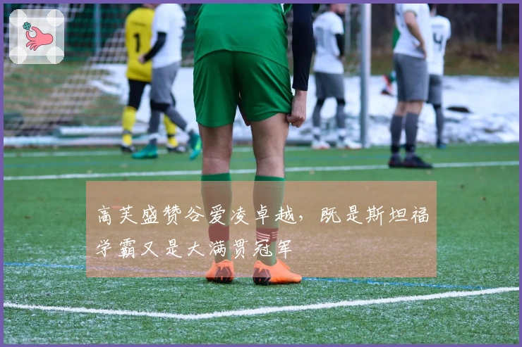 高芙盛赞谷爱凌卓越，既是斯坦福学霸又是大满贯冠军